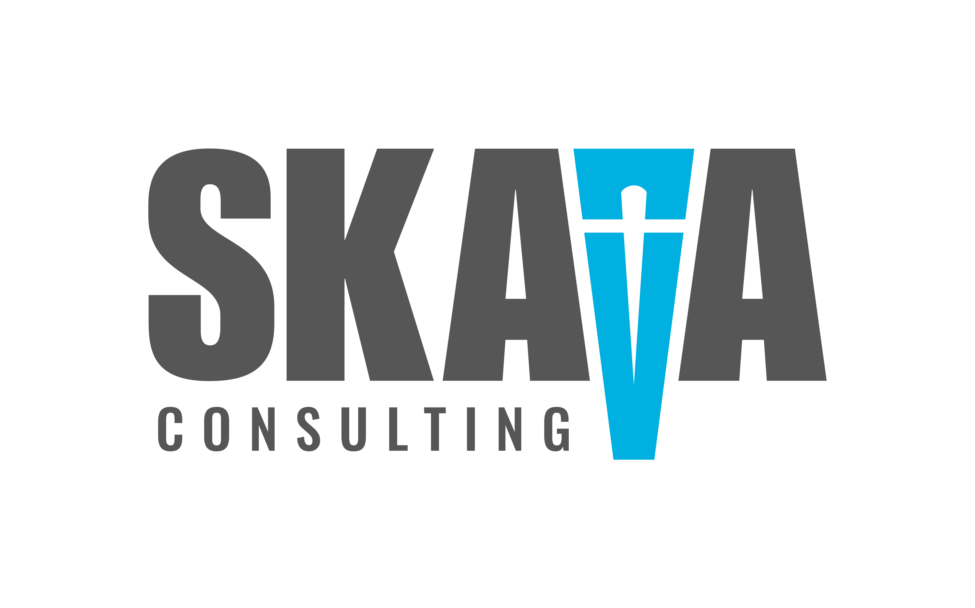 Skava Consulting